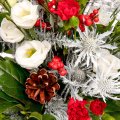 Christmas Bush Carnations